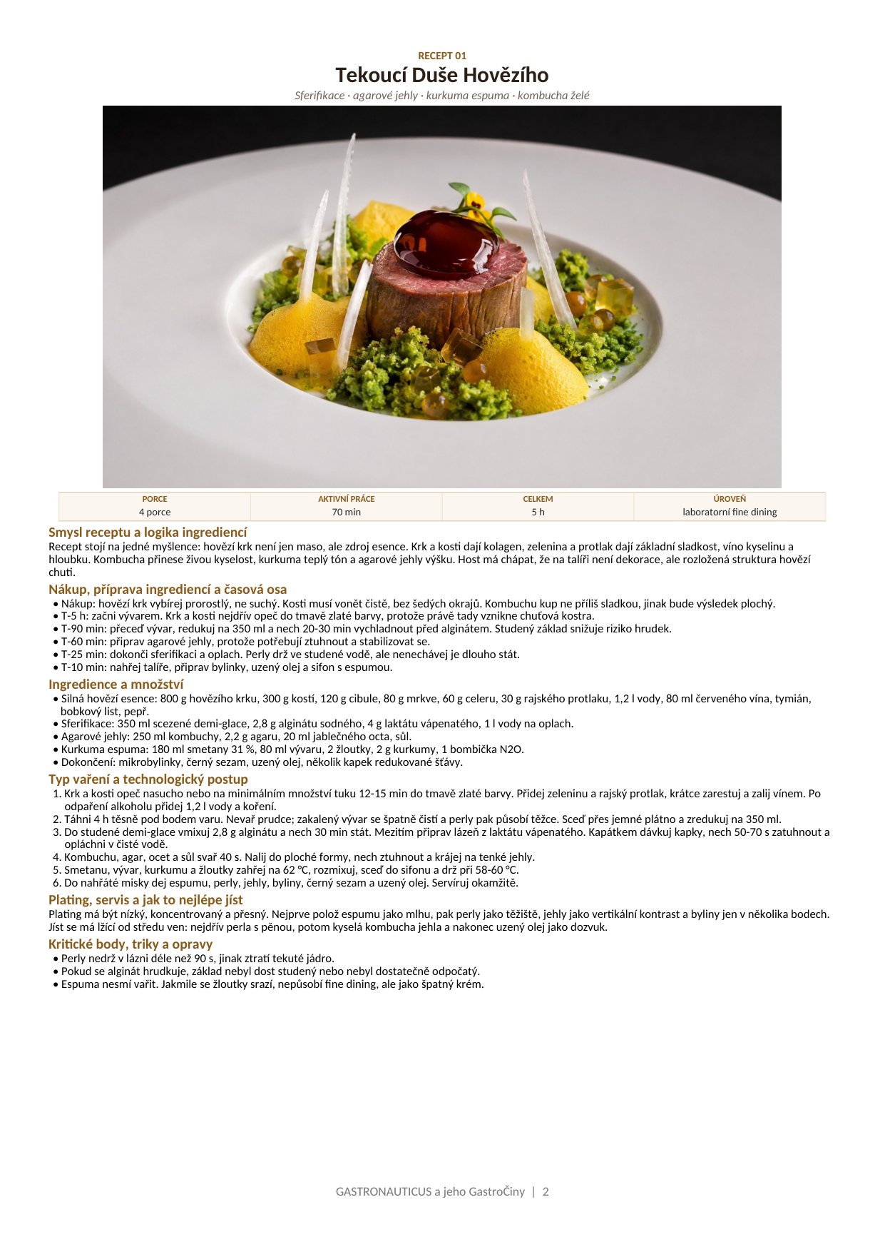 GASTRONAUTICUS - recept 01 Tekoucí Duše Hovězího